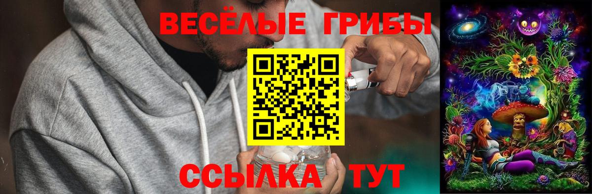 Галлюциногенные грибы Magic Shrooms Лабинск