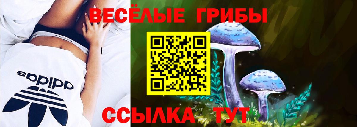 наркошоп  Вход с VPN  Лабинск  Псилоцибиновые грибы ЛСД 